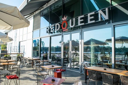 Red Queen Wine & Gastro bar